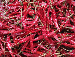 Dry Red Chilli