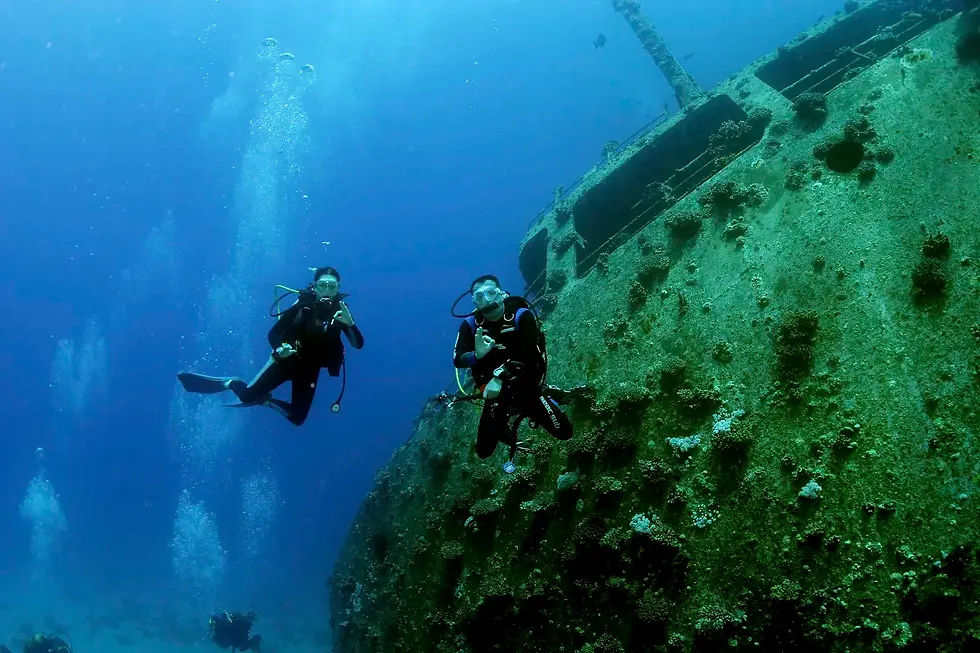 padi gouna.webp