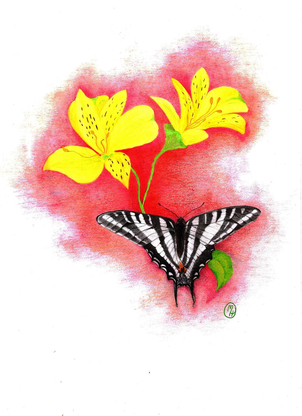 A Flutter