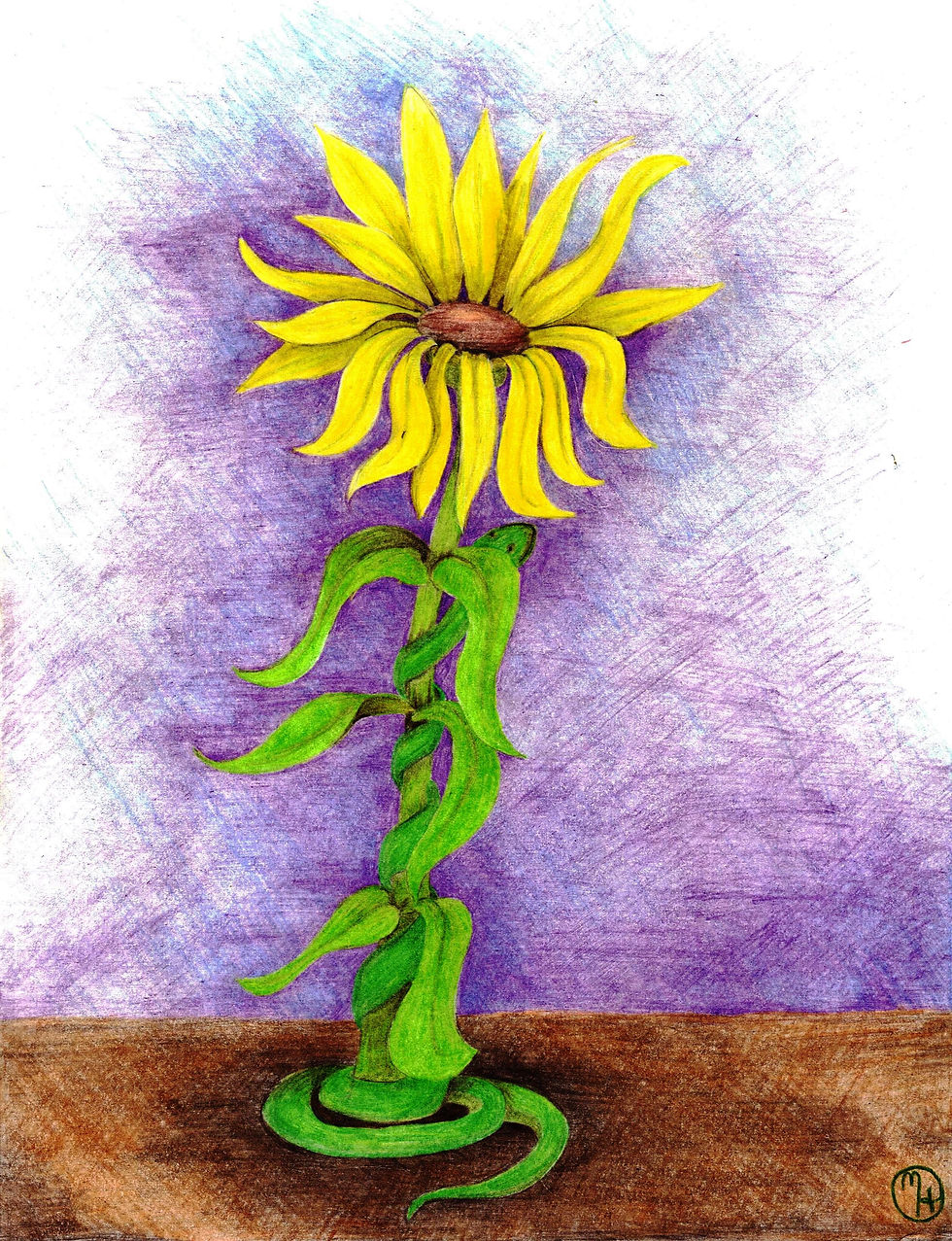 Sunflower Slither