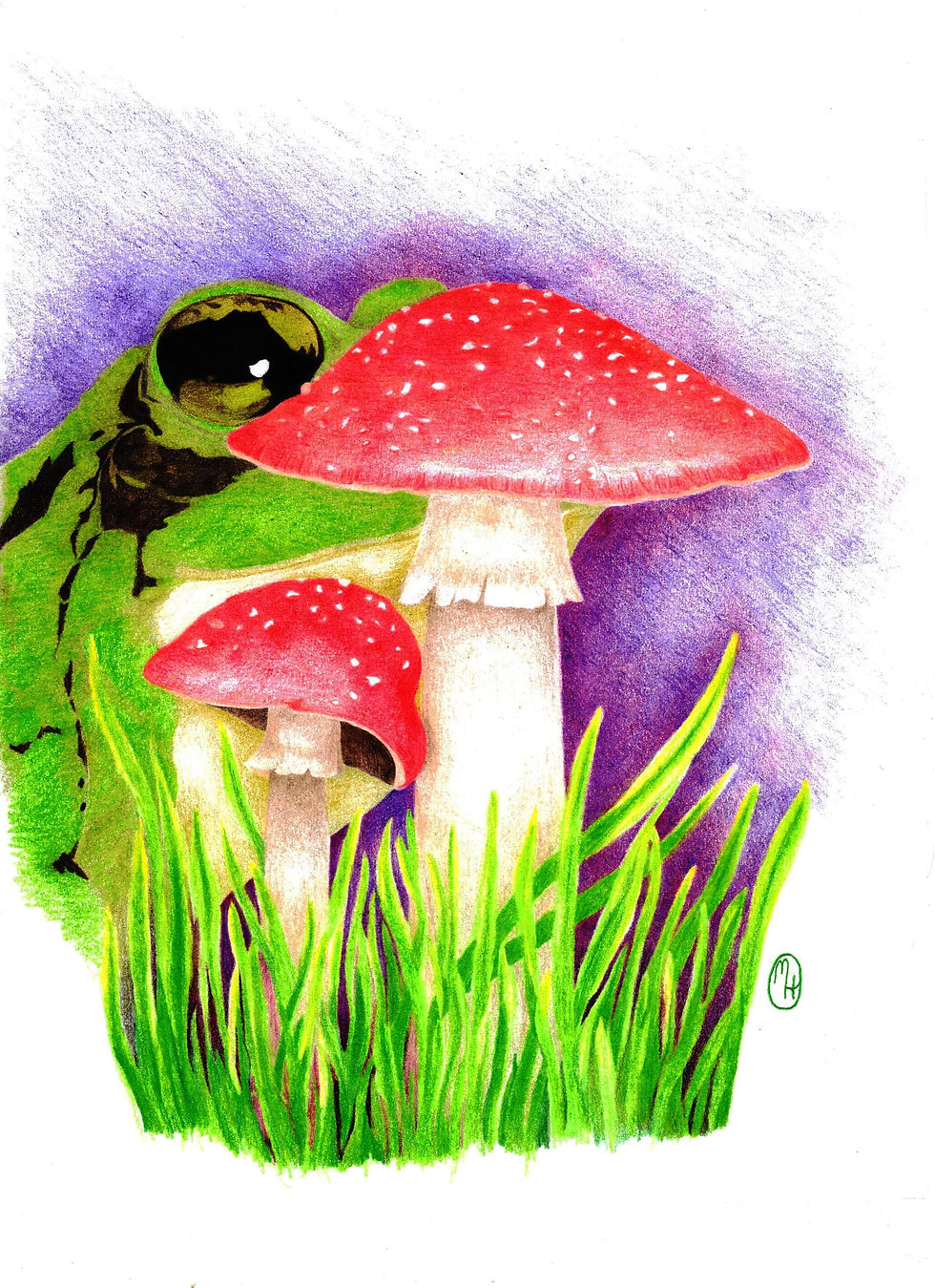 Fungi Frog