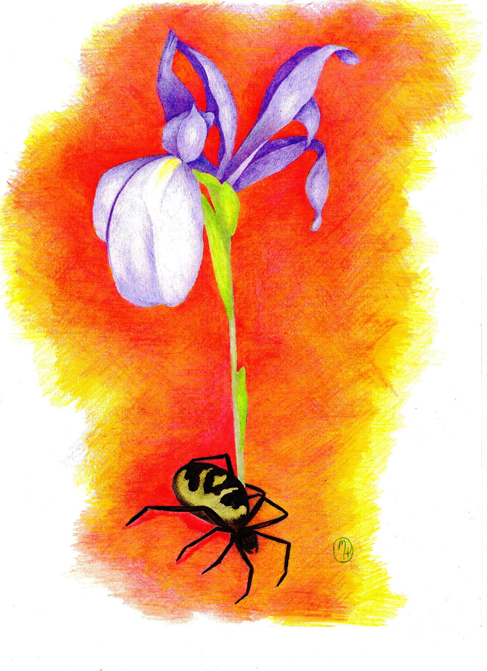 Beauty Crawls