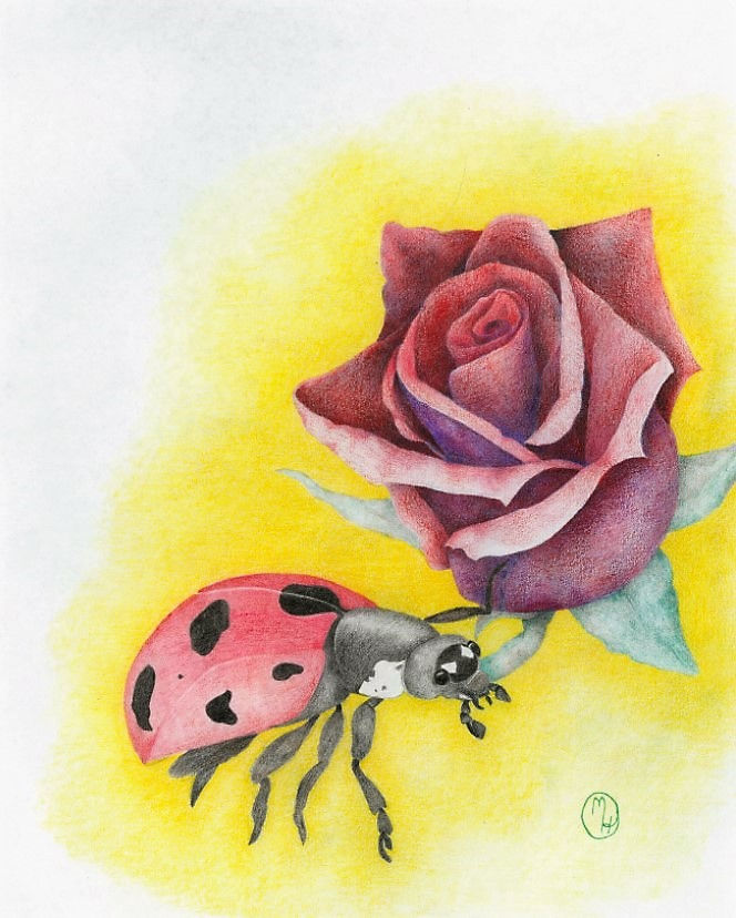 Rose Bug
