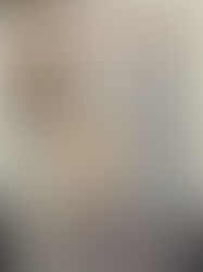 Bedford at Work Exhibition