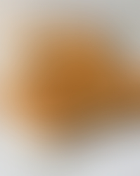 Argentinian Empanada (Beef, Olives, Raisins & Eggs)