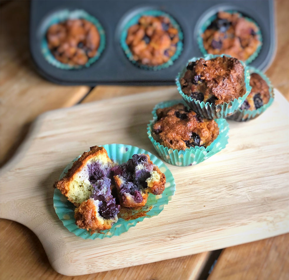 Blue Berry Muffins