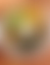 Pabellón Criollo (Venezuelan National Dish)