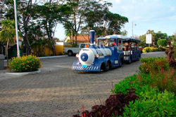 HOTEL SOL ÉLITE PALMERAS