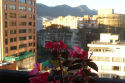 101 PARK HOUSE HOTEL