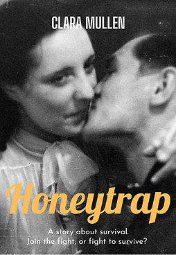 Honeytrap-4.jpg