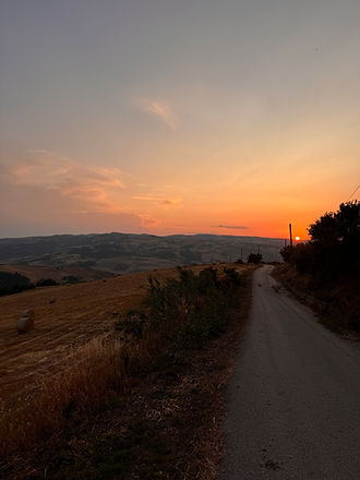 IMG_4835.JPG