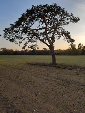 WhatsApp Image 2020-04-16 at 8.42.43 PM.