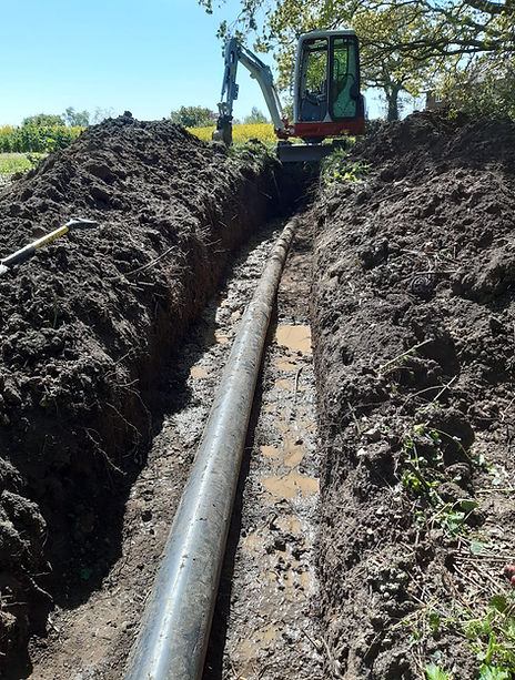 WhatsApp Image 2020-04-30 at 11.30.25 AM