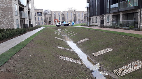 20161209_102108 (1).jpg