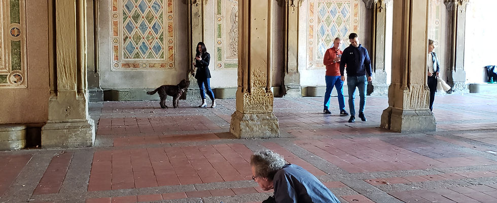 Enrichment and Exercise for a Healthy, Happy and Well Behaved Dog