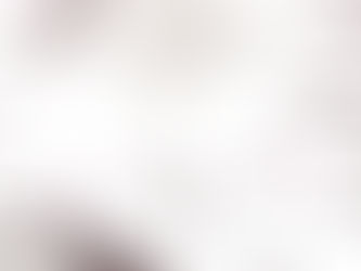 WIP: Ruby on the top Bunk