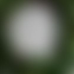 One is Powerful: Ephesians 4:4-7