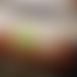 Halfhearted Lessons and Wholehearted Obedience