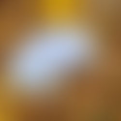 Printable Devotional - Kids on A Mission - Pumpkins and News Worth Sharing