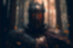 Lord of Shadows.jpg