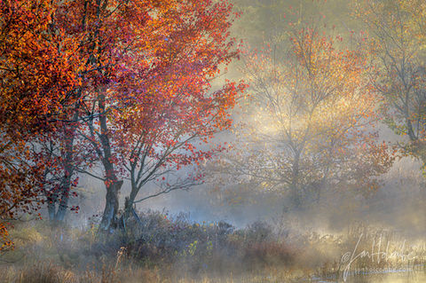 First Light
