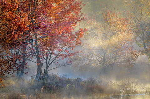 First Light