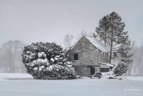 Abrams Farm