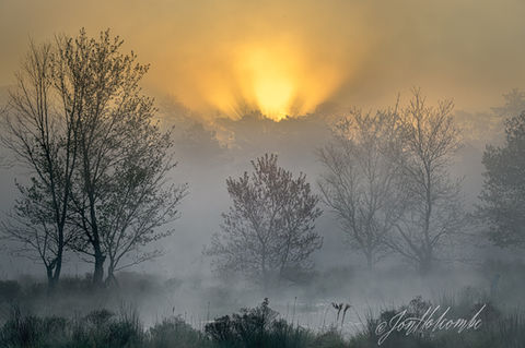 Arise and Shine