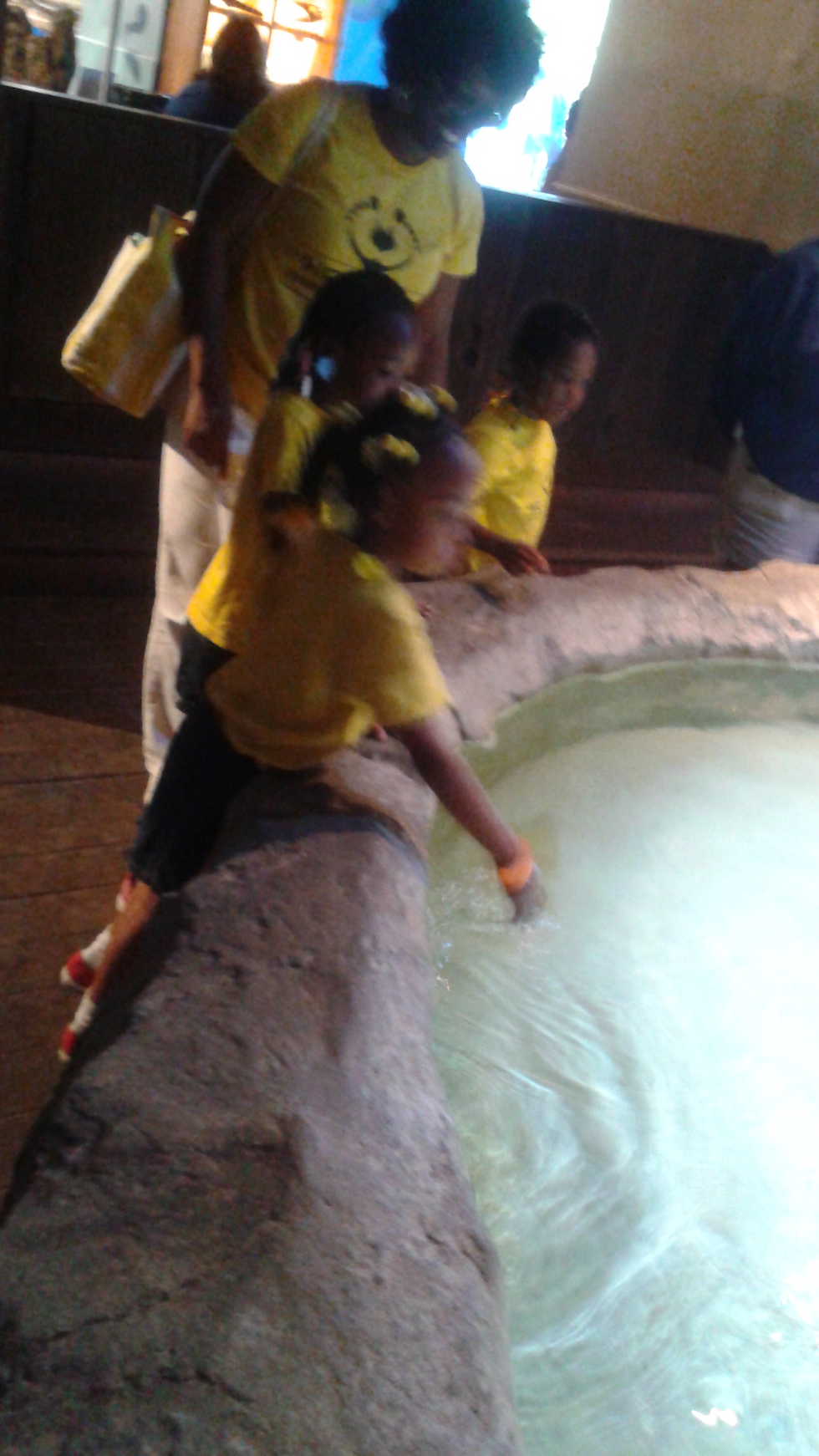 trip to the Aquarium