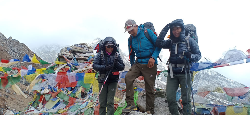 Thumbnail: Ladies hiking pants
