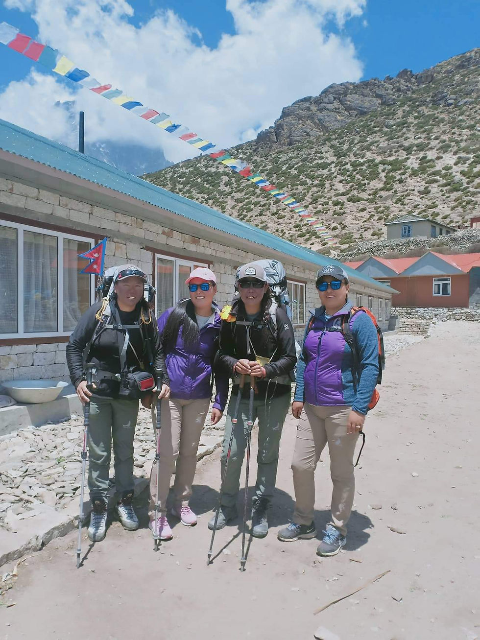 Thumbnail: Ladies hiking pants