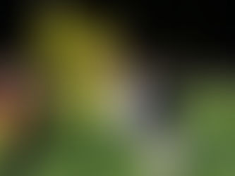 Elgin High School Homecoming Game