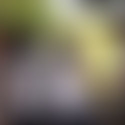 Estudiantes que Inspiran: Limpieza de Playa en Puntarenas