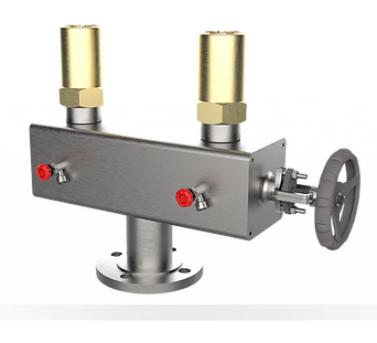 manifold-for-safety-relief-valve.png