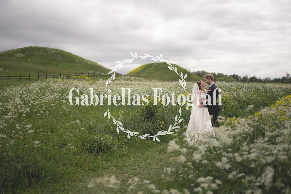 Framsida hemsida.png