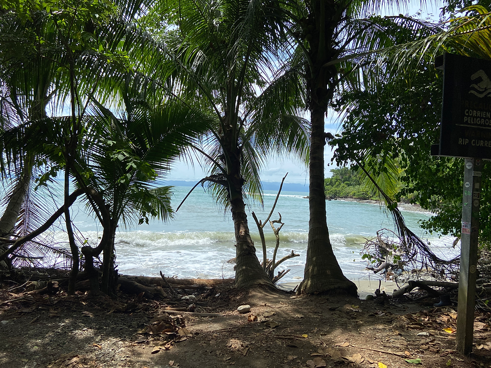 Strand in Costa Rica