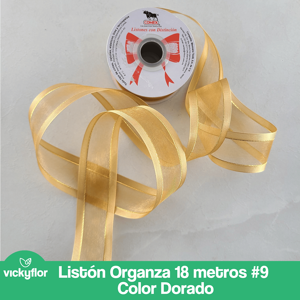 Miniatura: Listón Organza 9