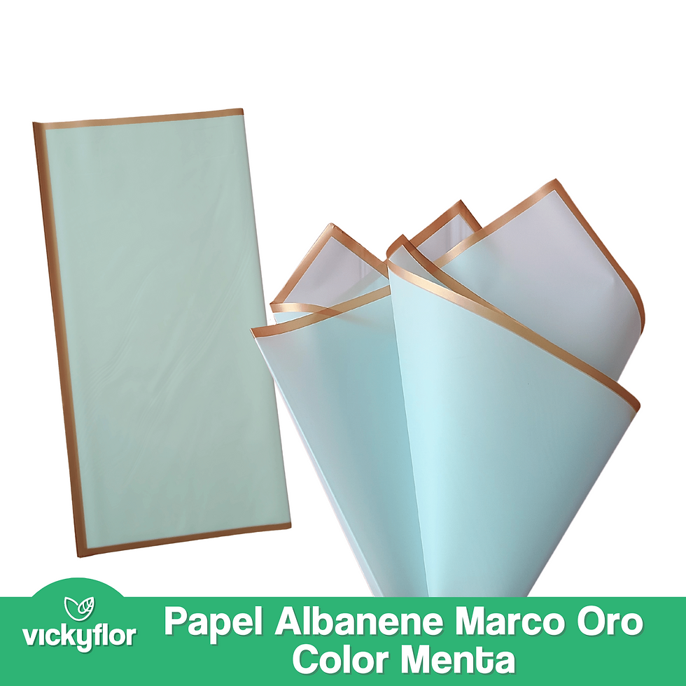 Miniatura: Albanene Marco Delgado Oro