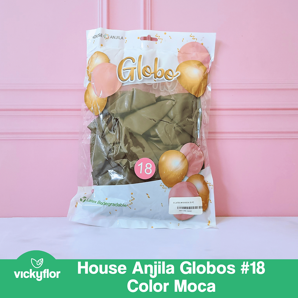 Miniatura: house anjila globo n18 moca