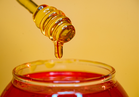 Brand strategy, logo design and website services for international non-profit