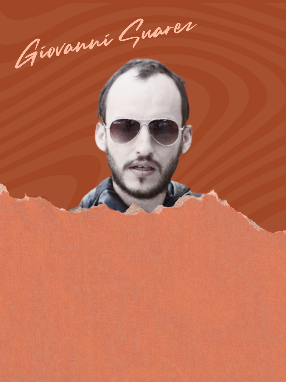 web development and seo for startups