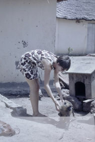IMG00728.jpeg