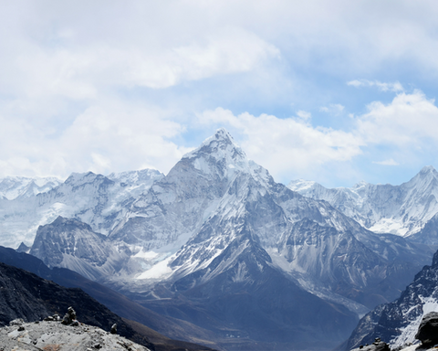 Website development and branding services for national IP litigation law firm