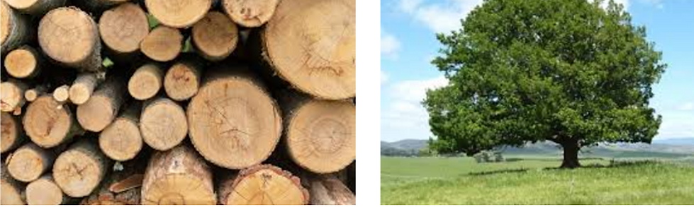 Minimal Elegant Coming Soon Instagram Post (19).png