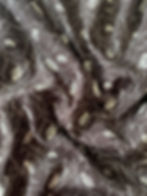 Thumbnail: Rayon Nayra  8827155-2