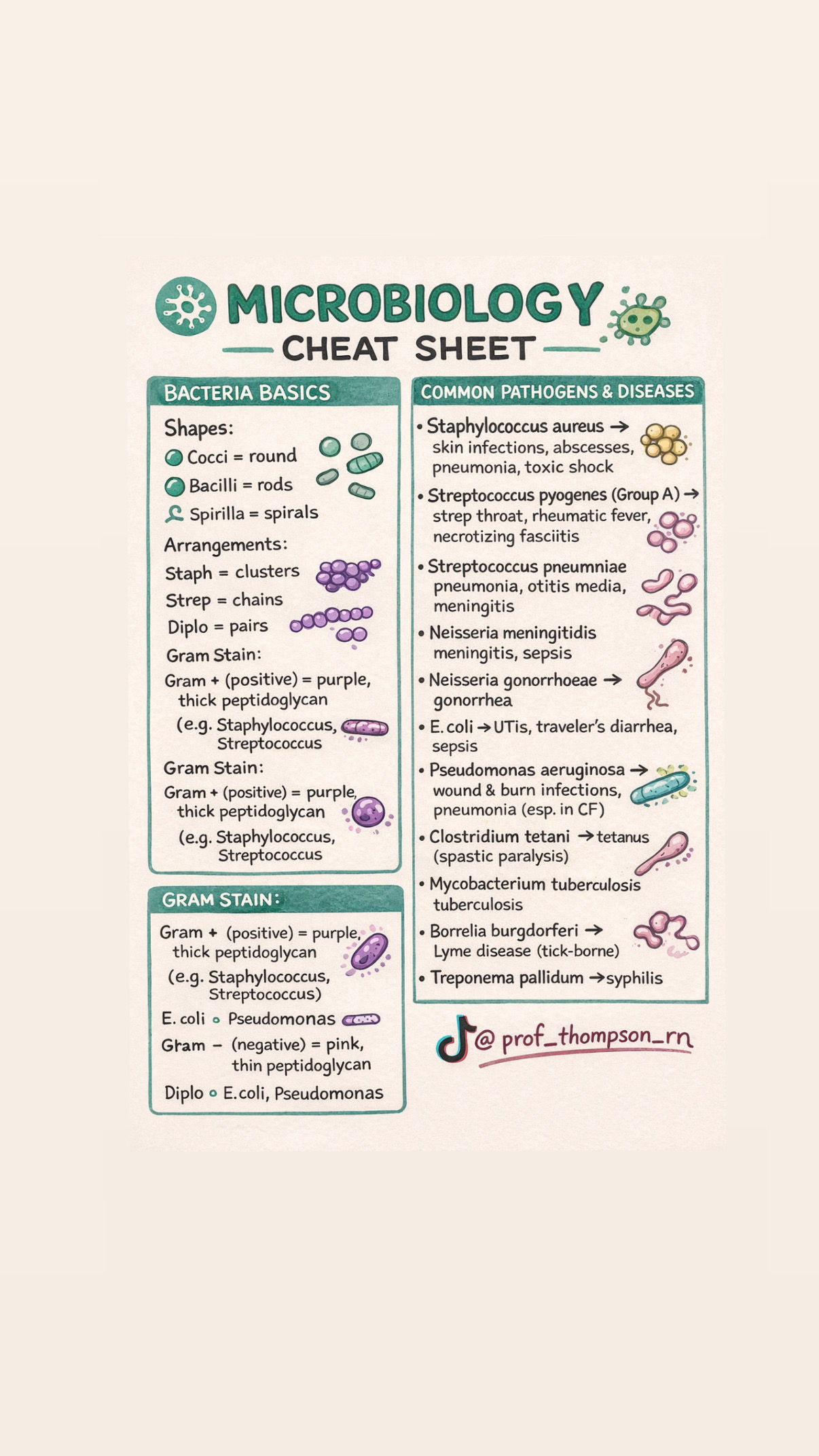 Microbiology Cheat Sheet