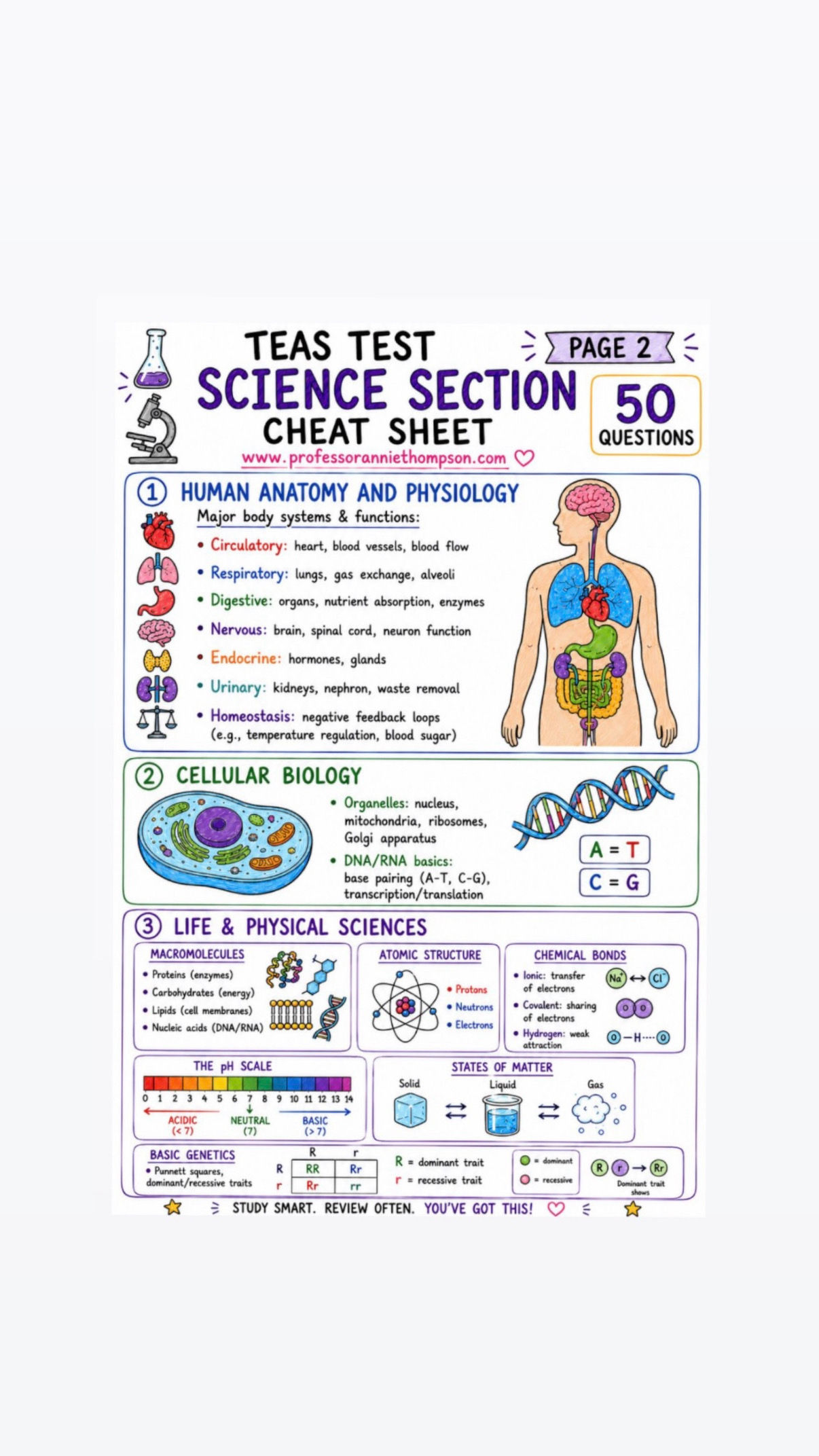 TEAS Test Study Guide & Cheat Sheets  12 pages (Digital product)