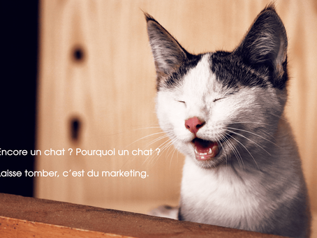 RIONS UN PEU PUISQUE C'EST LA RENTREE