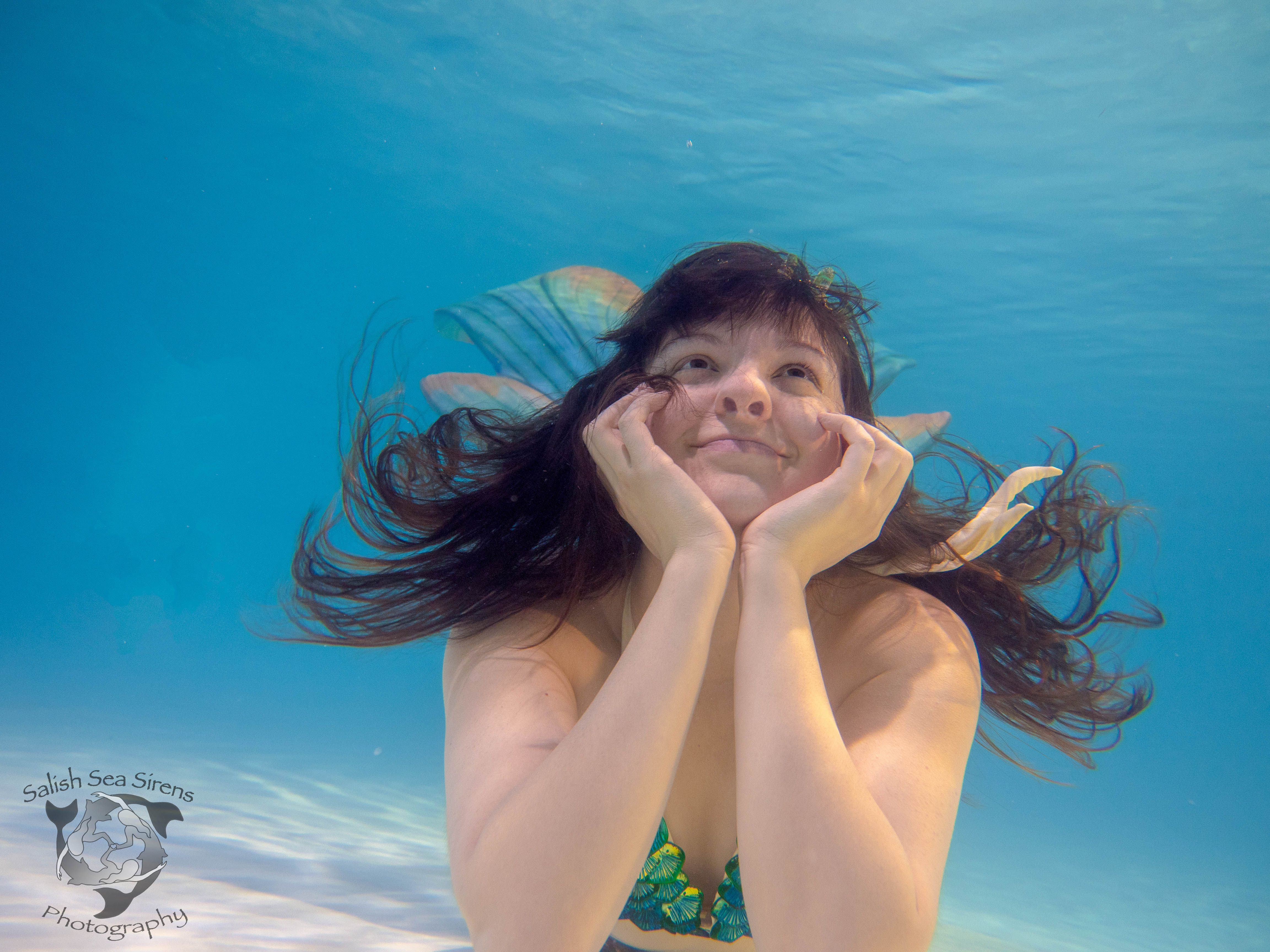 diane webber mermaids of tiberon diane webber mermaids of tiberon