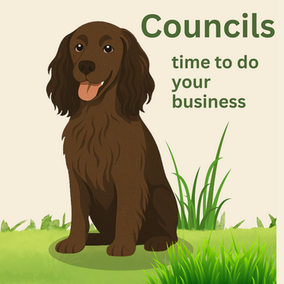 Call to action for Councils picture